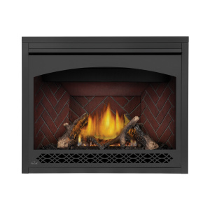 Ascent™ X 42 Direct Vent Gas Fireplace - GX42NTREA