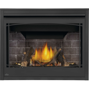 Ascent™ X - BX42 - Direct Vent Gas Fireplace, Natural Gas
