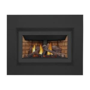 Inspiration™ ZC Gas Fireplace Insert - GDIZC-NSB