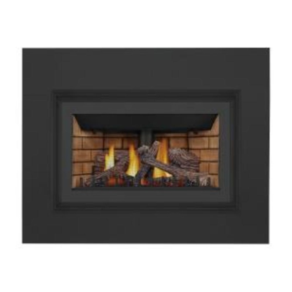 Inspiration™ ZC Gas Fireplace Insert - GDIZC-NSB